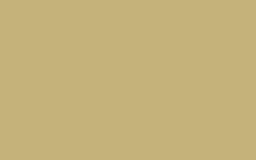 immagine texture ral 1001
