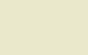 immagine texture ral 1013