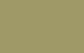 immagine texture ral 1019