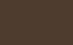immagine texture ral 8028