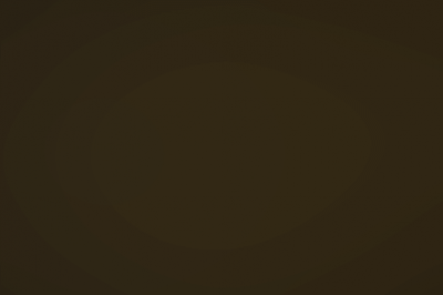 img cover speciali bronzo non anticato